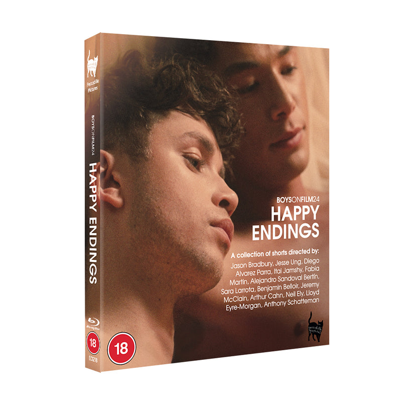 Boys On Film 24: Happy Endings