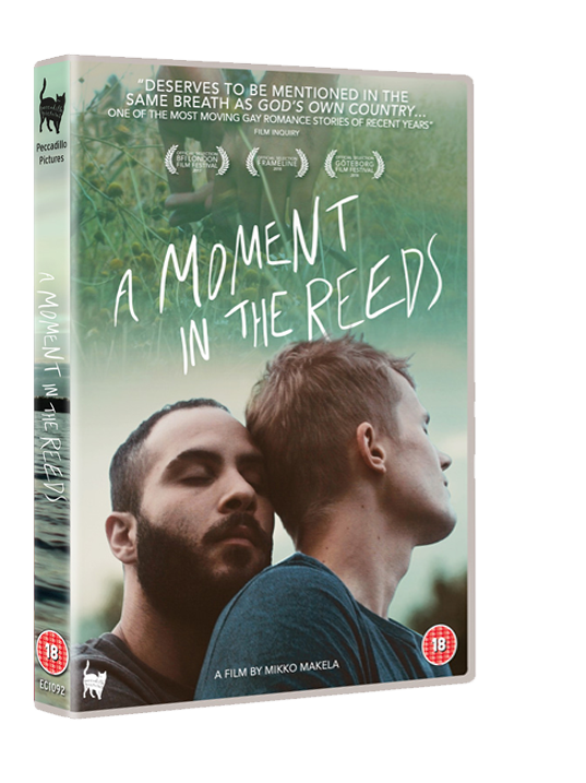 A Moment in the Reeds