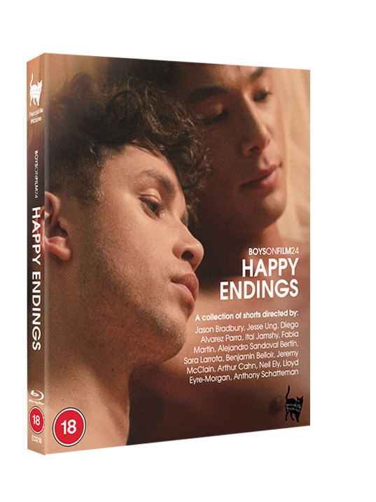 Boys On Film 24 Happy Endings