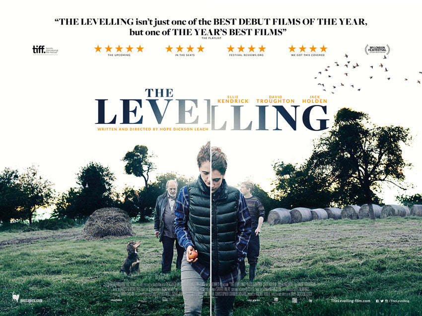 The Levelling poster